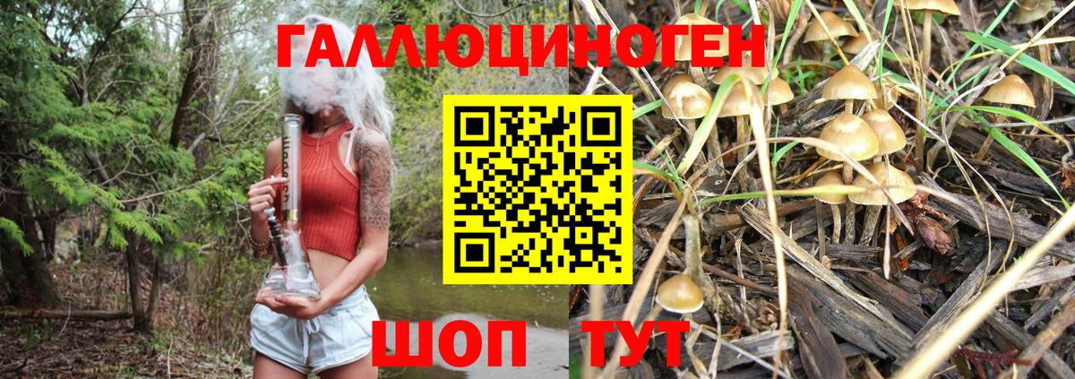 Псилоцибиновые грибы Cubensis  Вход с VPN  Югорск 